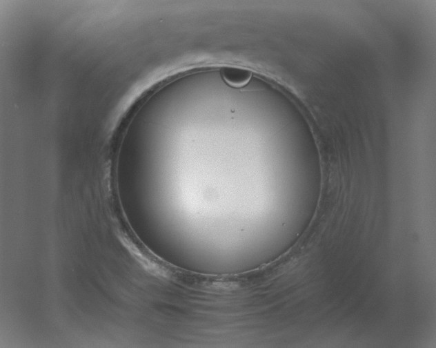 X0000054391503200508121619