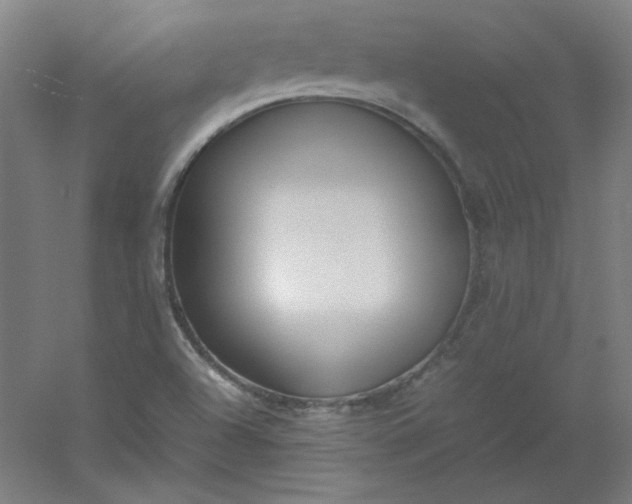 X0000054391504200508121619