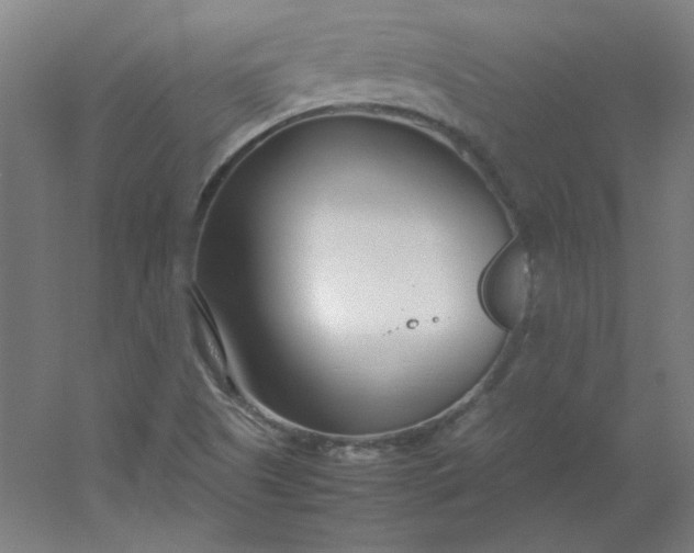 X0000054391505200508121619