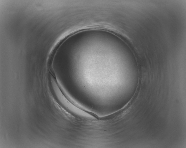 X0000054391506200508121619