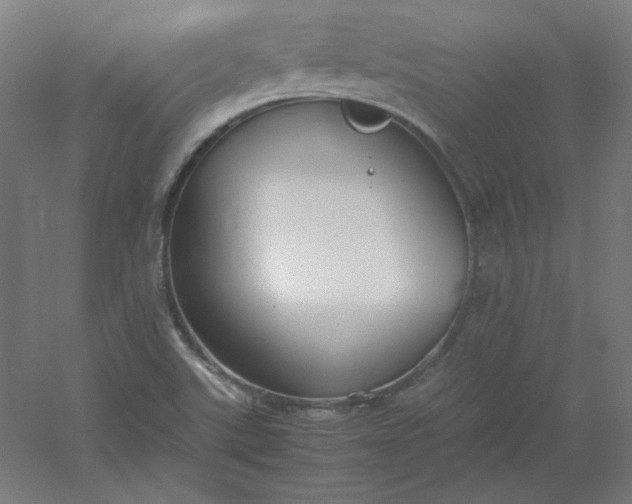 X0000054391507200508121619