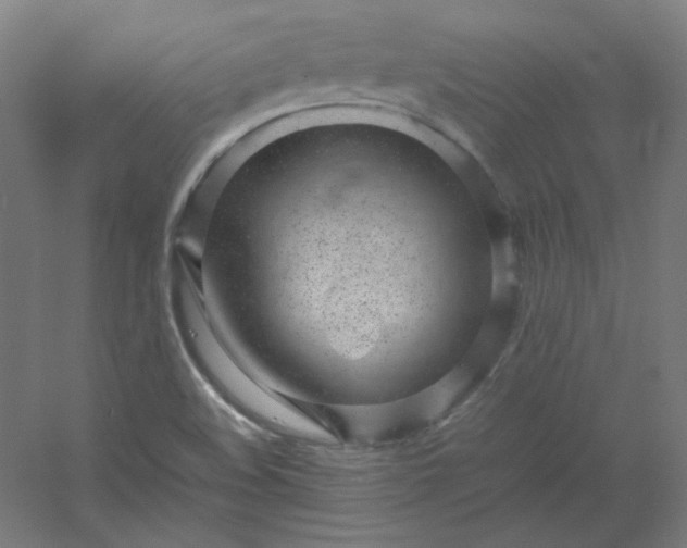 X0000054391508200508121619