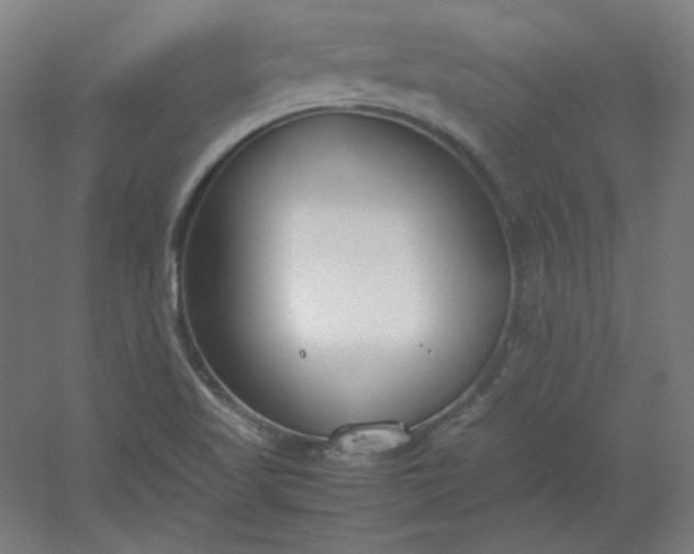 X0000054391509200508121619