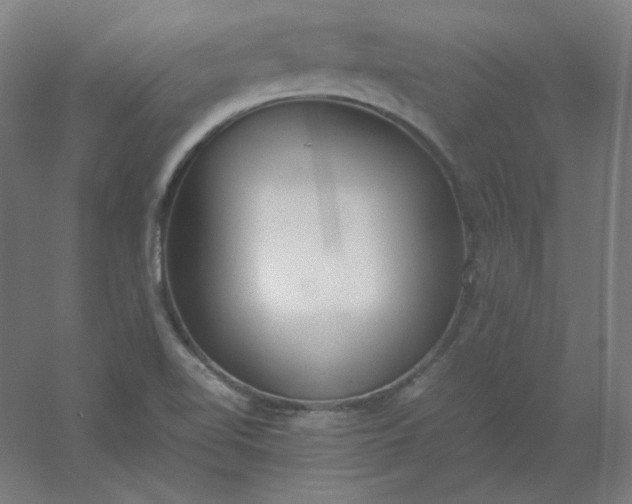 X0000054391510200508121619