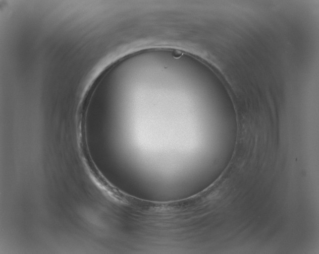 X0000054391511200508121619