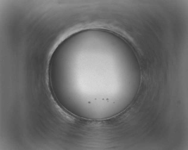 X0000054391512200508121619