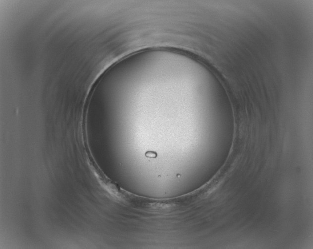 X0000054391513200508121619