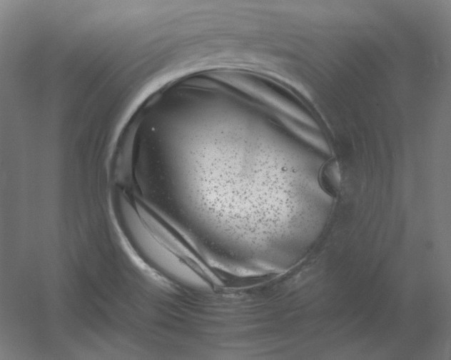 X0000054391515200508121619