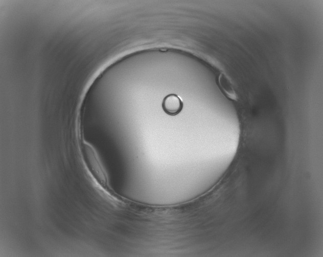 X0000054391516200508121619