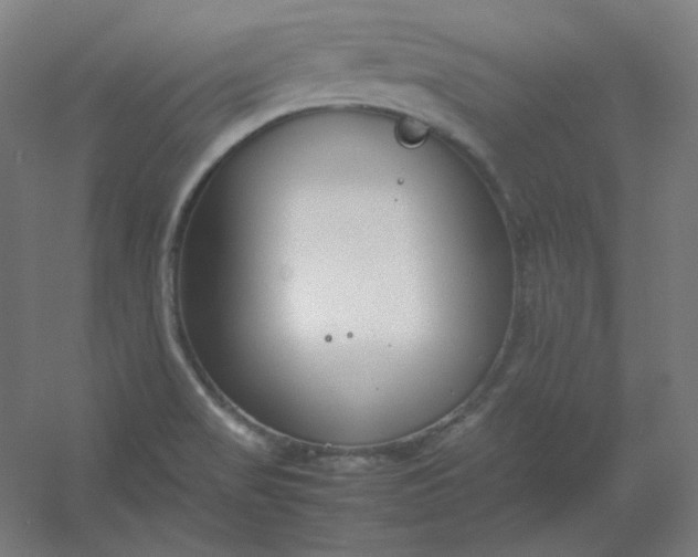 X0000054391517200508121619