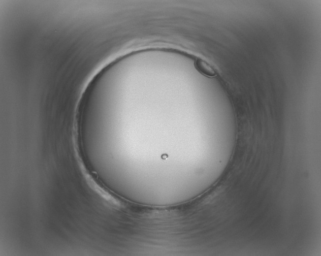 X0000054391518200508121619