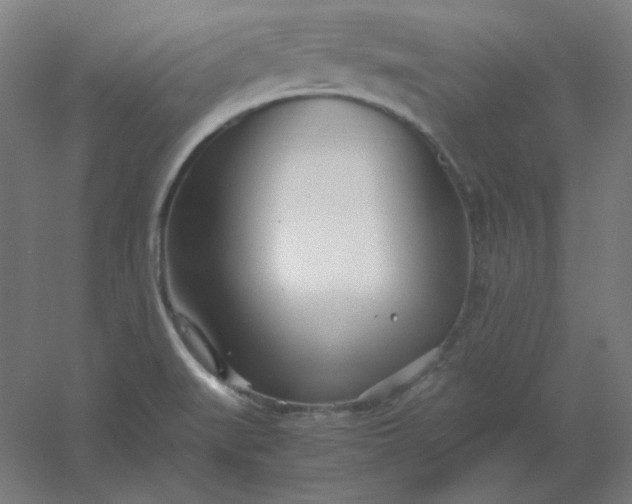 X0000054391519200508121619