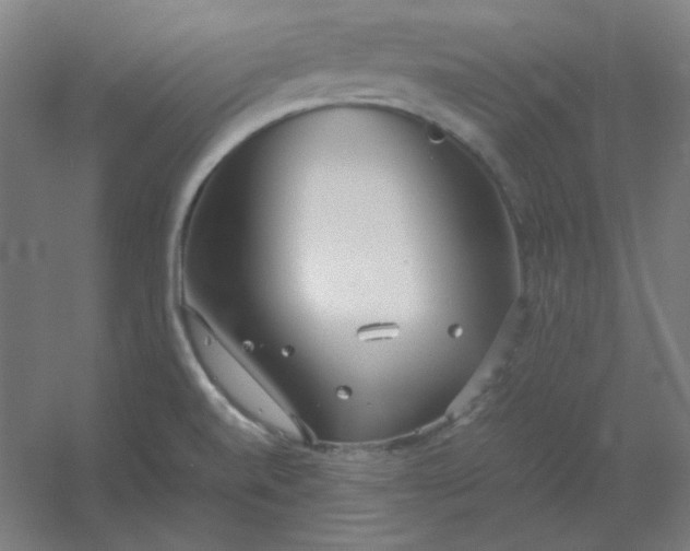 X0000054391520200508121619