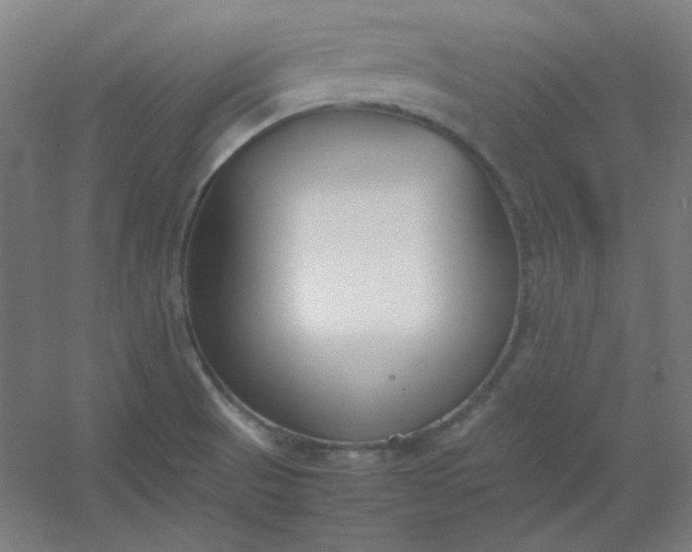 X0000054391521200508121619