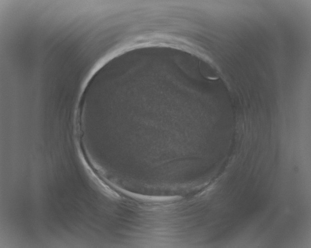 X0000054391522200508121619