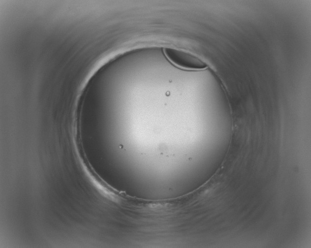 X0000054391523200508121619