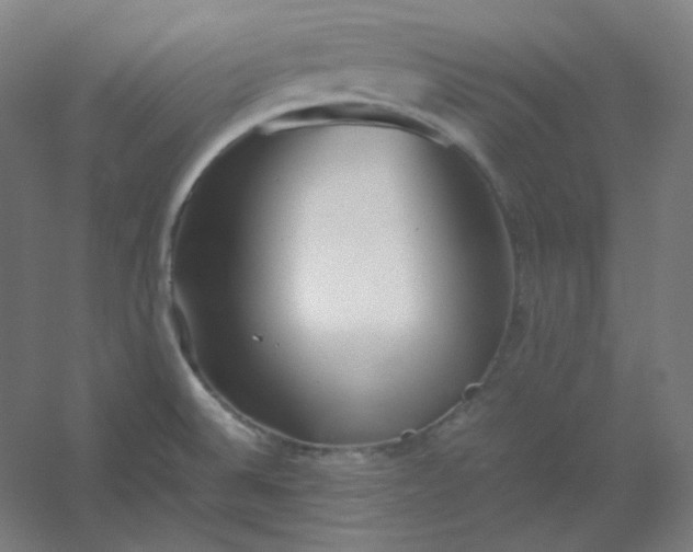 X0000054391524200508121619