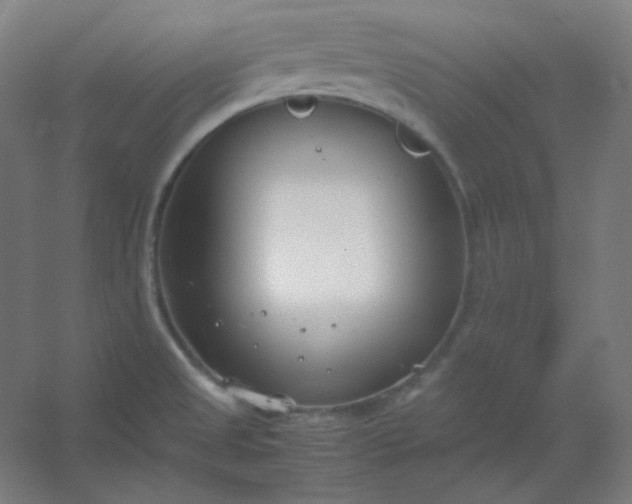 X0000054391525200508121619