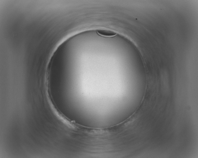 X0000054391526200508121619