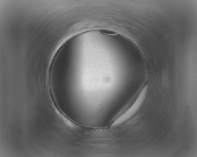 X0000054391527200508121619