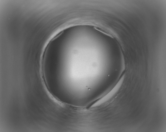 X0000054391528200508121619