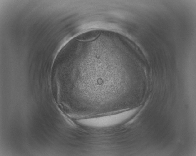 X0000054391529200508121619