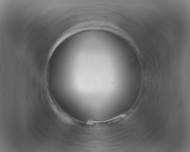 X0000054391530200508121619