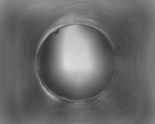 X0000054391531200508121619