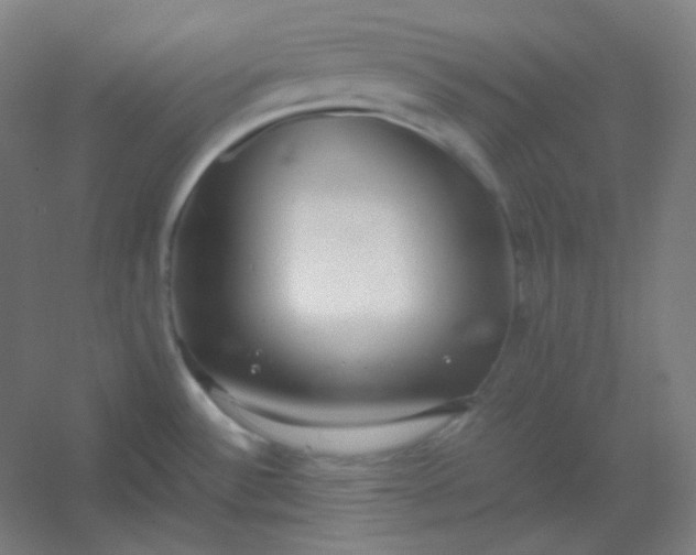 X0000054391532200508121619