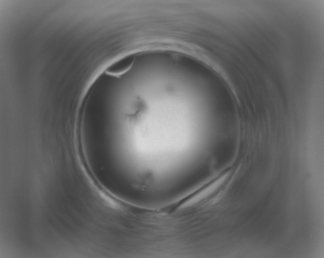 X0000054391533200508121619