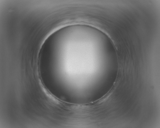 X0000054391534200508121619