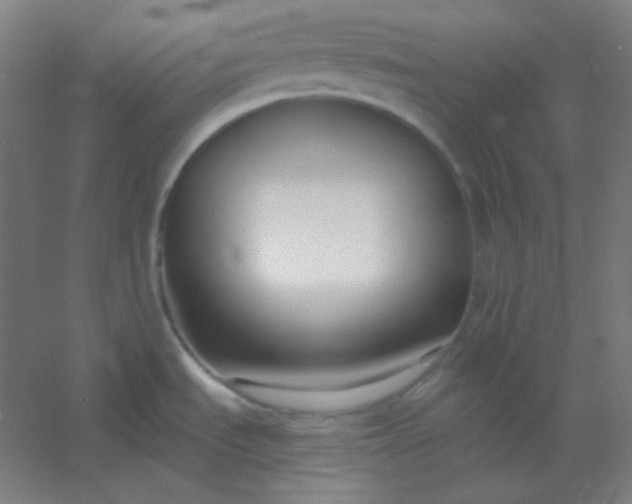 X0000054391535200508121619