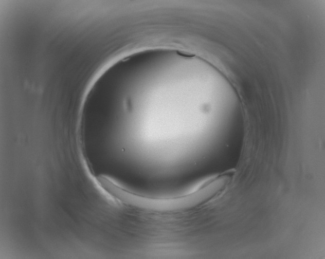 X0000054391536200508121619