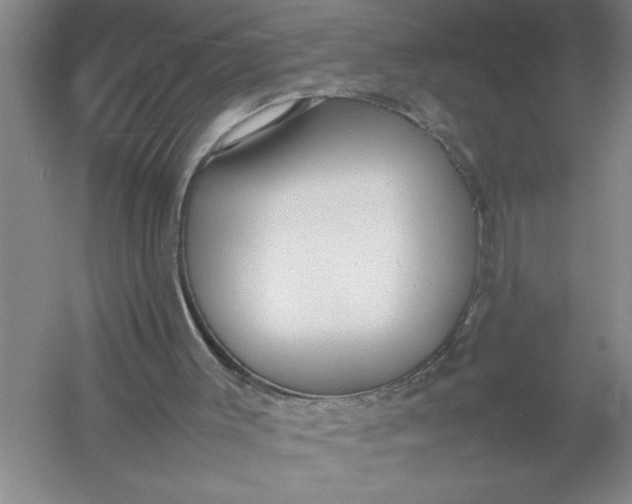 X0000054390003200508191951