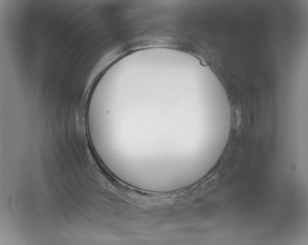 X0000054390004200508191951