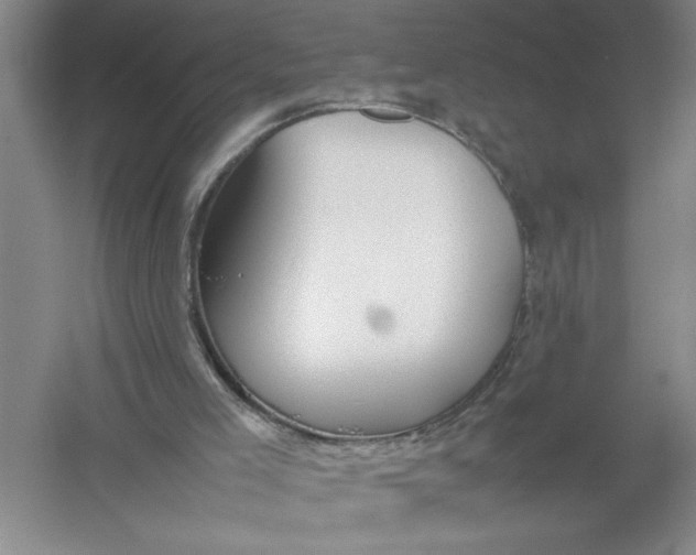 X0000054390005200508191951
