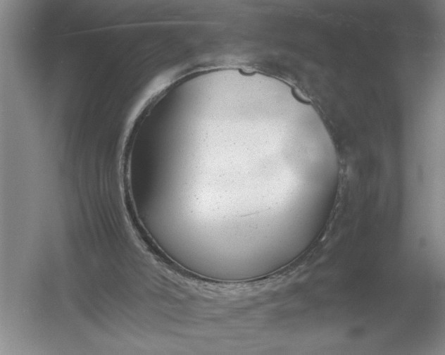 X0000054390006200508191951