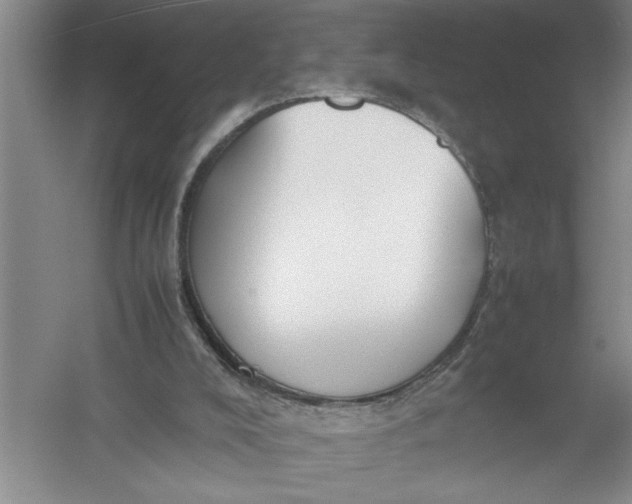 X0000054390008200508191951