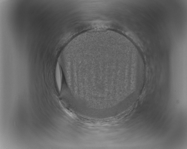 X0000054390009200508191951