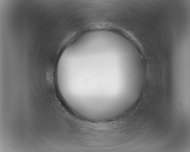 X0000054390010200508191951