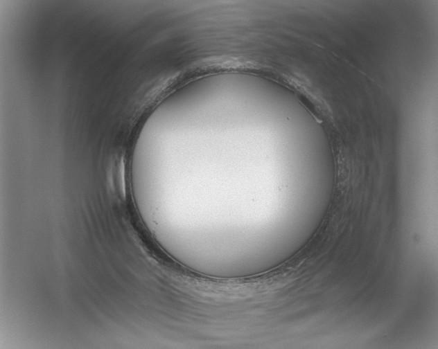 X0000054390014200508191951