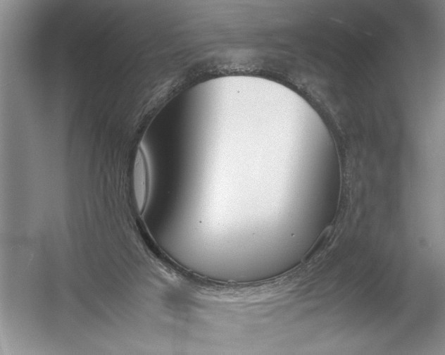 X0000054390017200508191951