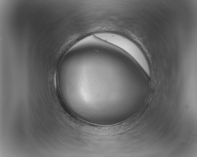X0000054390019200508191951