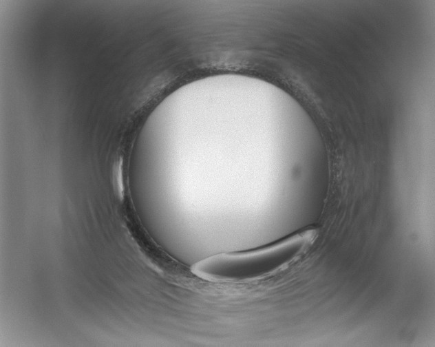 X0000054390020200508191951