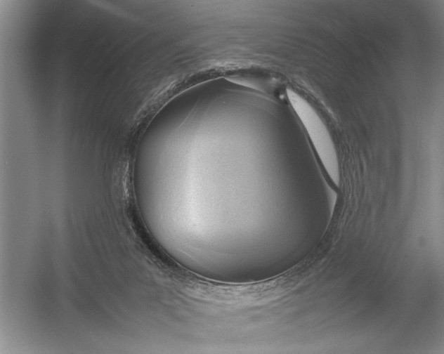 X0000054390023200508191950
