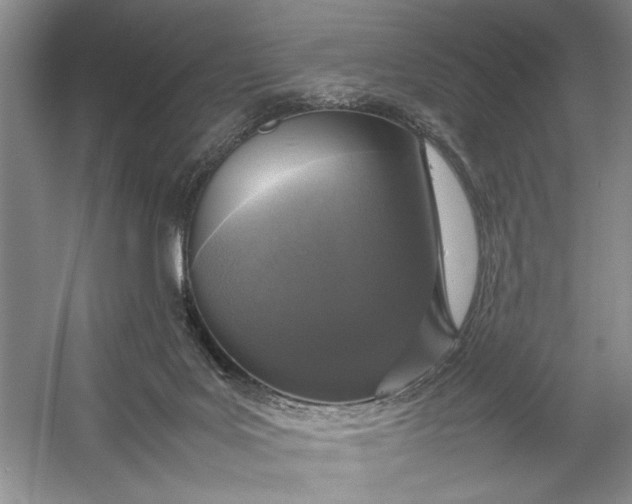X0000054390027200508191950