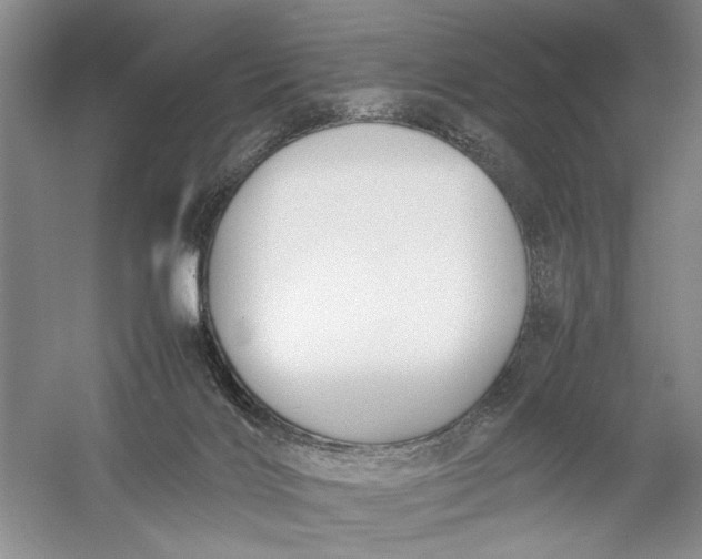 X0000054390028200508191950