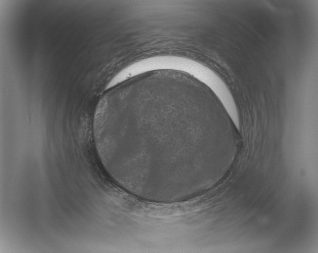 X0000054390029200508191950