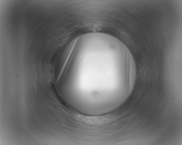 X0000054390030200508191950