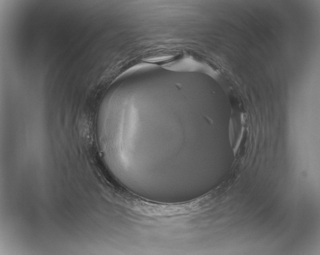 X0000054390031200508191950